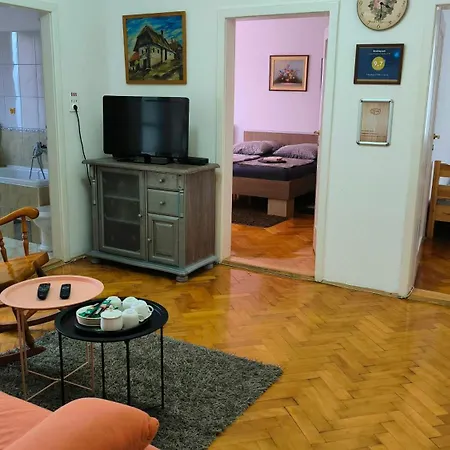 Trosoban Stan U Zenici Apartamento